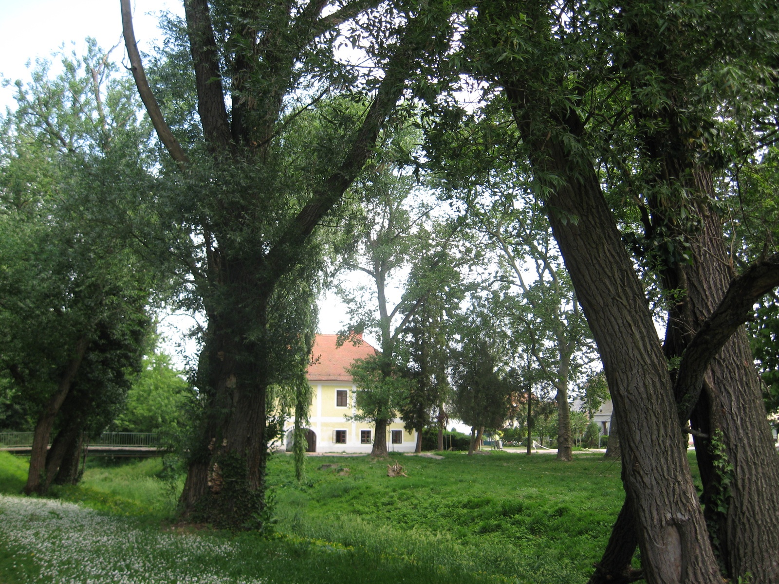 Zalacsány (60)