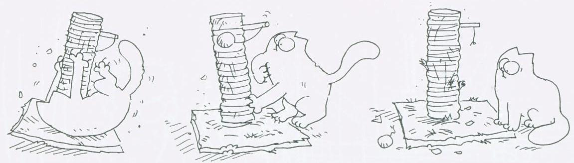 simon's cat3