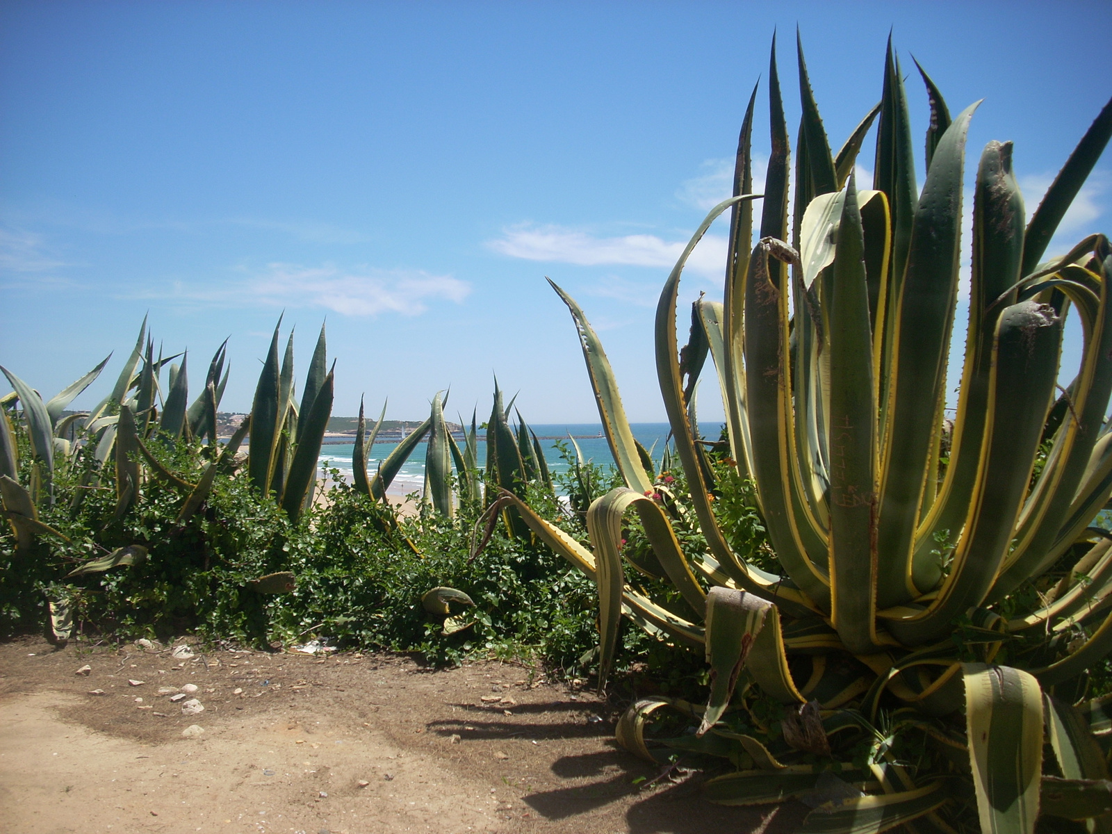 Praia da rocha