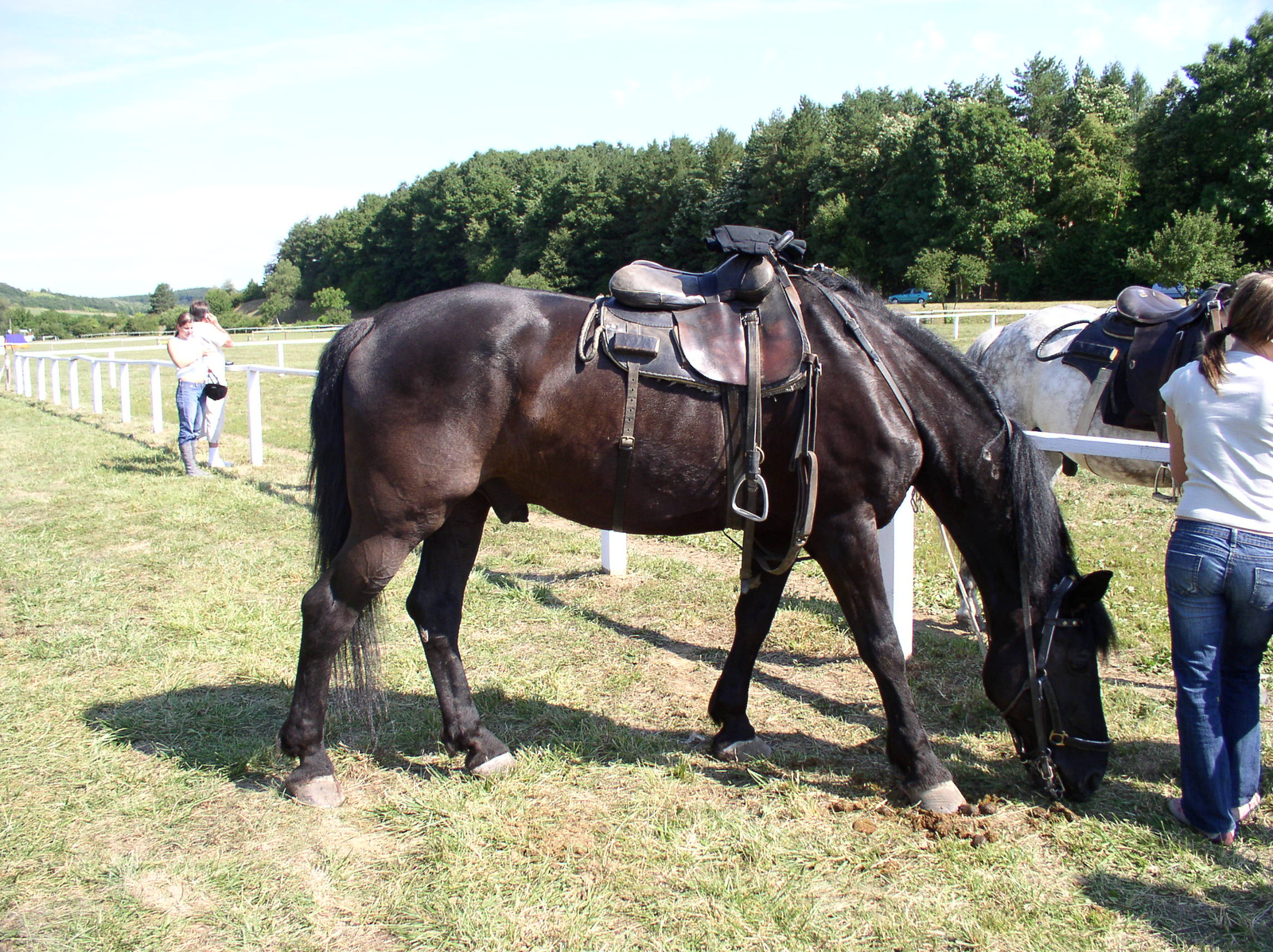 0652 2007.07.08 Orfű-Kemencés