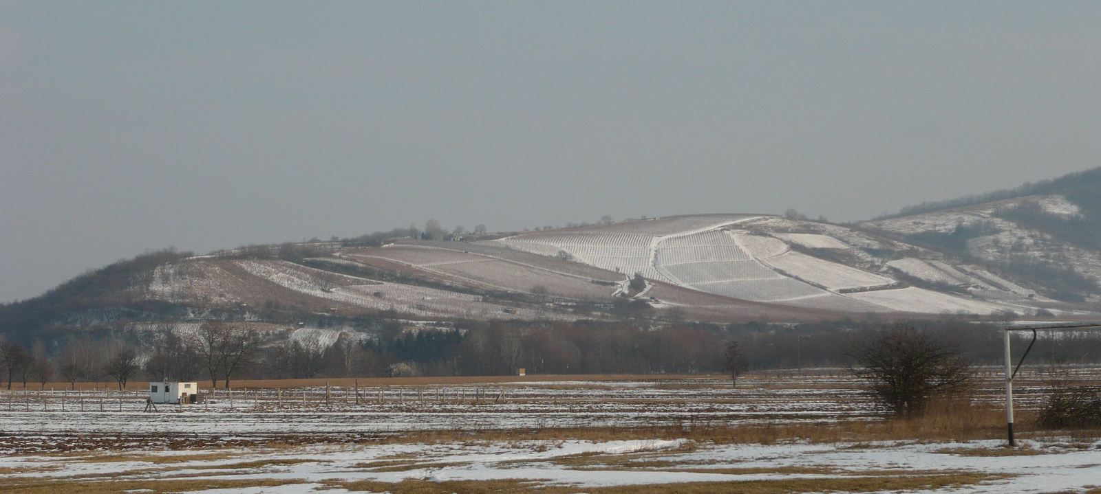 Tokaj