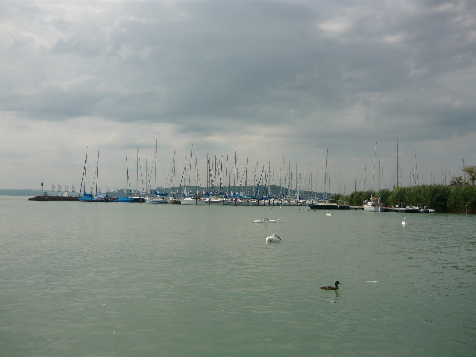 Balatonfüred