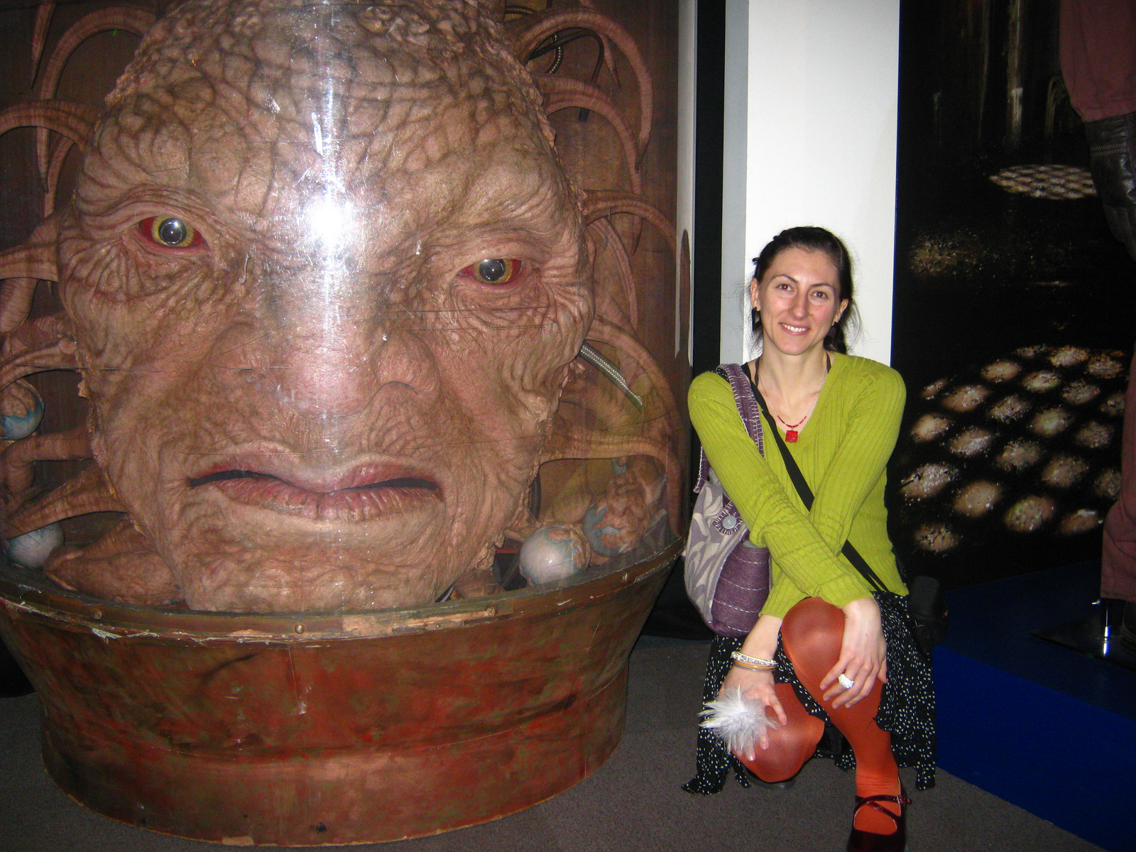 11-face of boe (4) - Copy