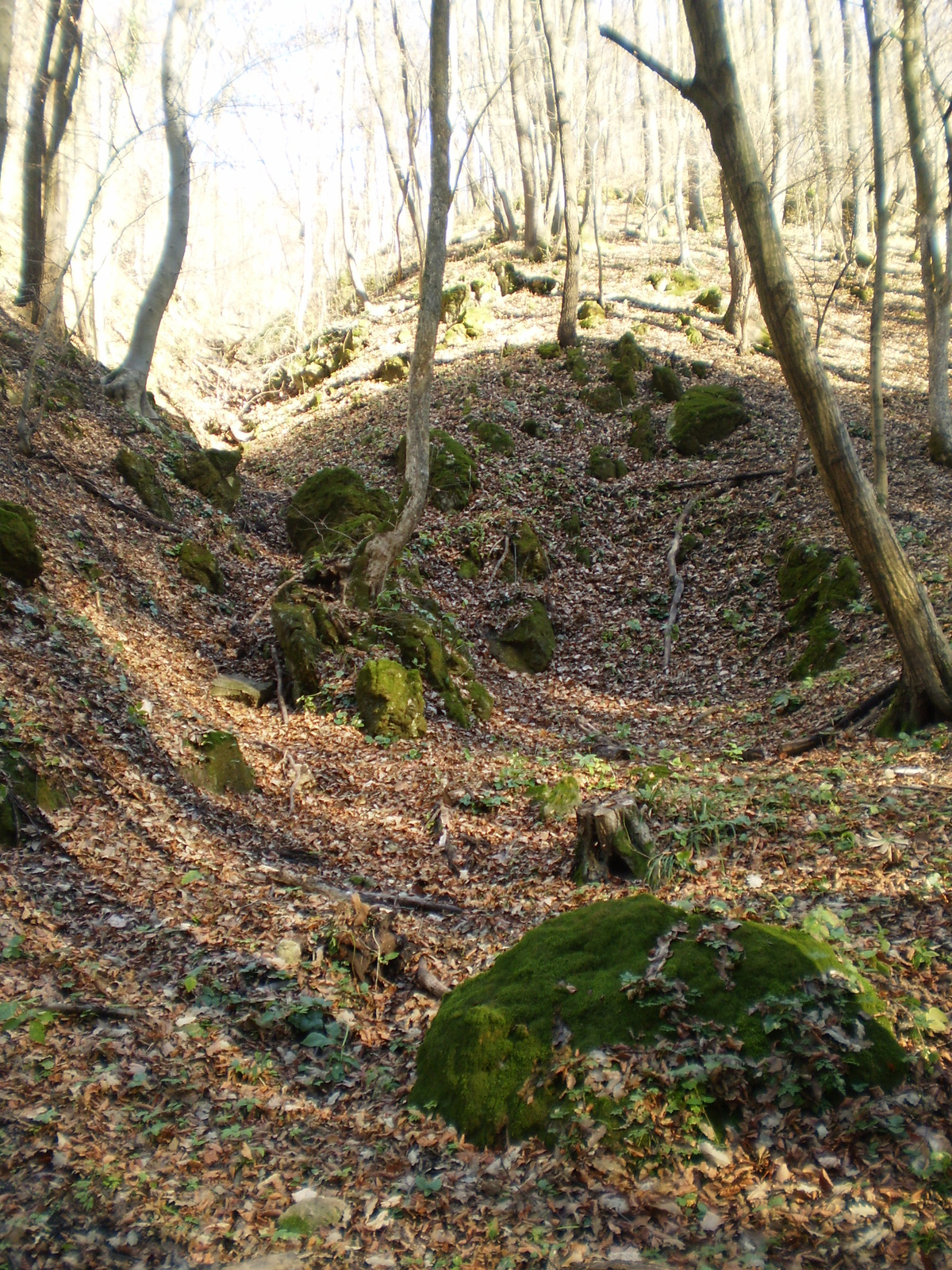 20101113 Orfűi Nagy kő oldal