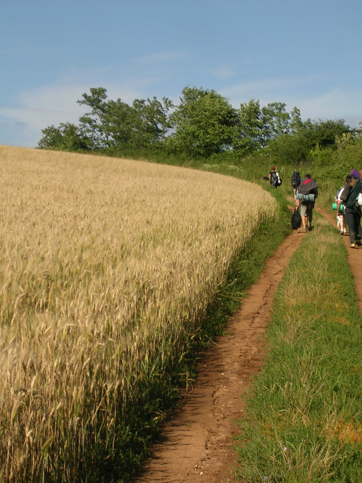 Vándortábor-2008-Cserhát 138