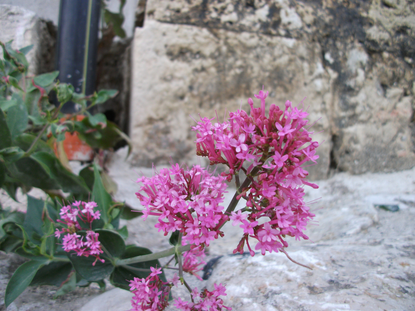 Matera, Sassi