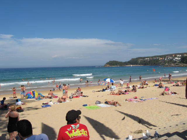 Manly beach