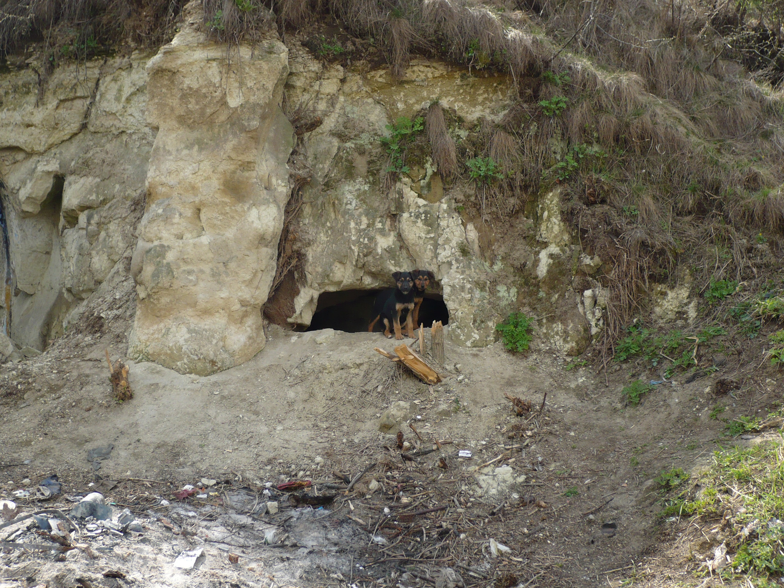 A barlangőrzők