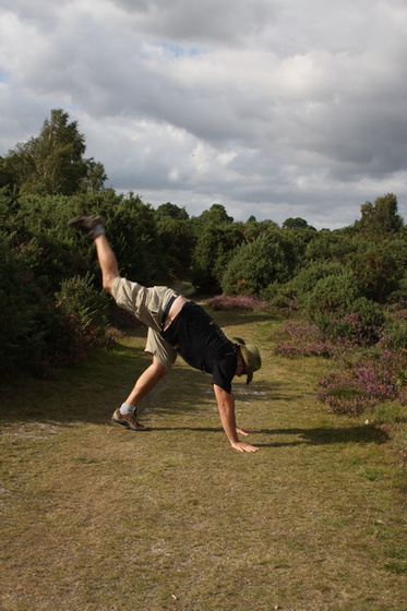 new forest picnic-100