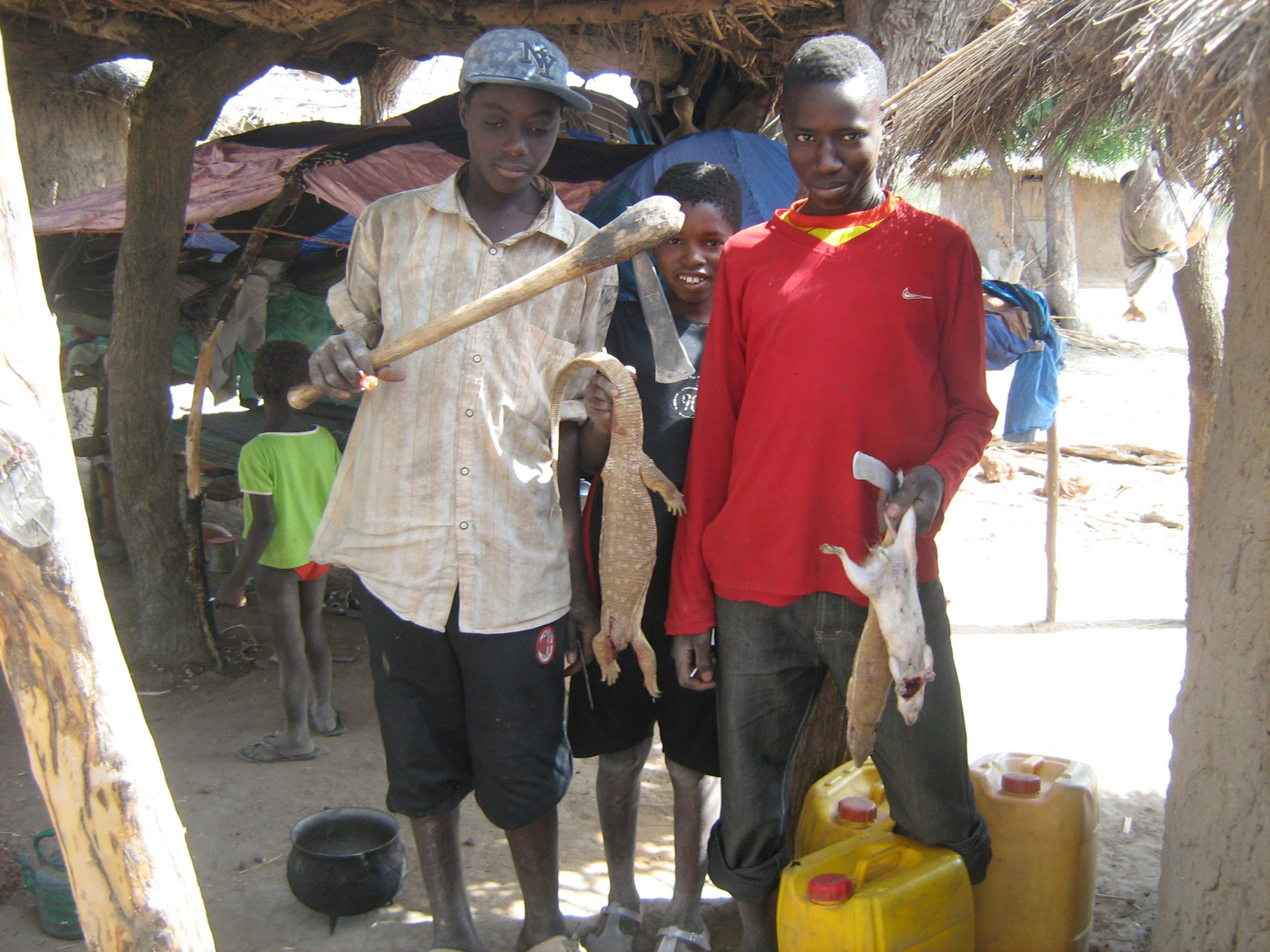 Mali039 - itt az ebéd...