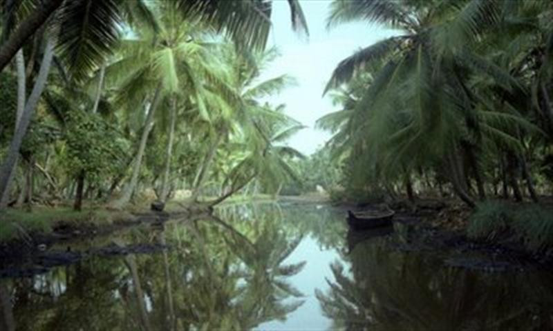 Kerala 3 (Medium)