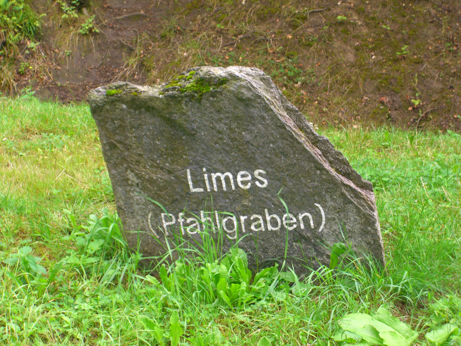 limes (11)