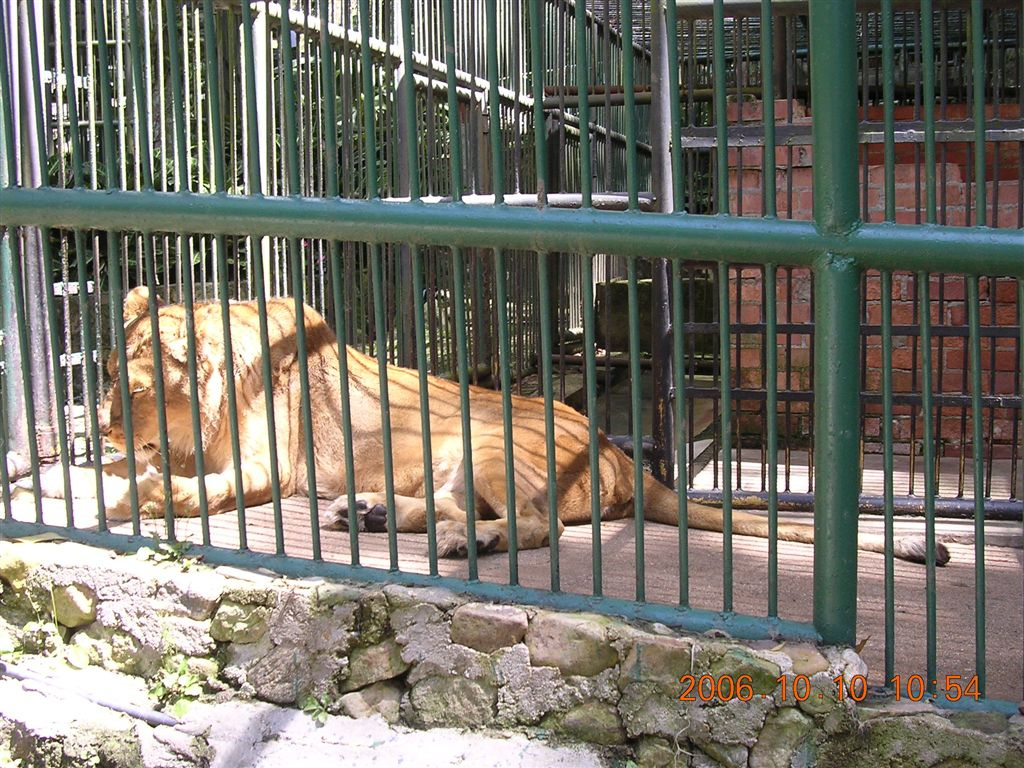 097 Mérida - Parque Zoológico Chorros de Milla