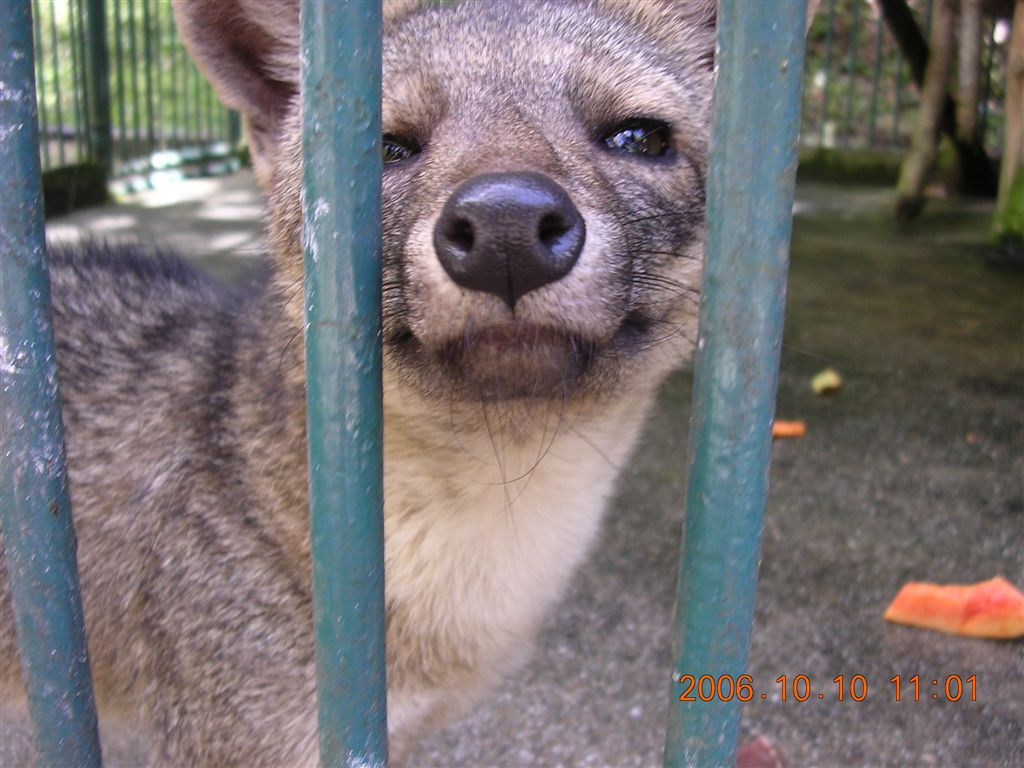 102 Mérida - Parque Zoológico Chorros de Milla