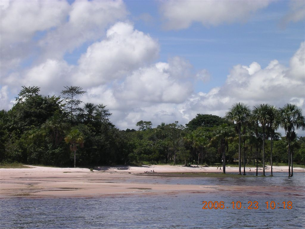 384 Canaima