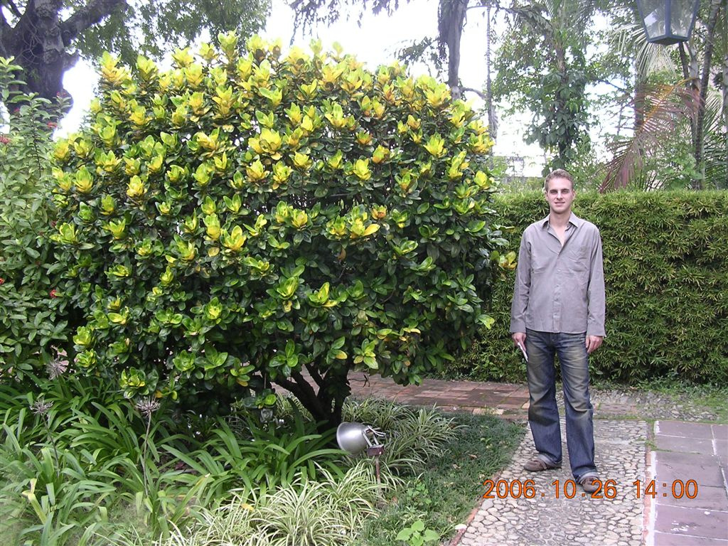 428 Caracas - Museo de Arte Colonial