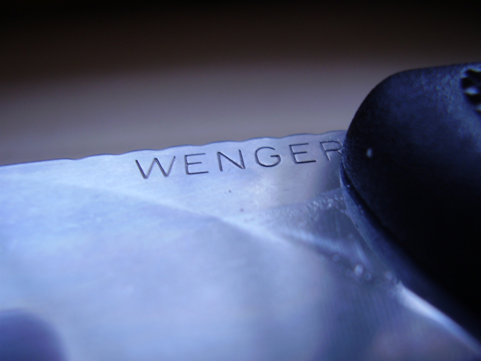 Wenger8