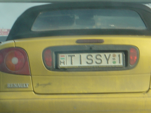TISSY-1