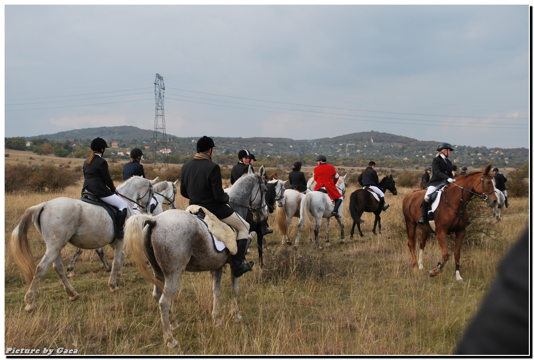 vadaszlovigaca201000183