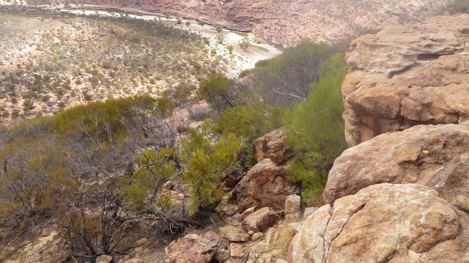 24.march.2010-Kalbarri national park (33)