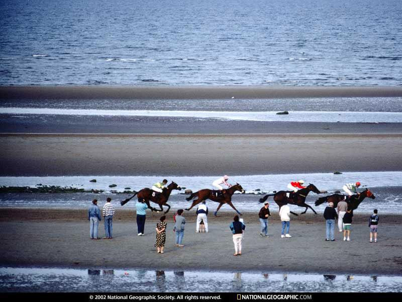 laytown-strand-races-489906-sw (Medium)