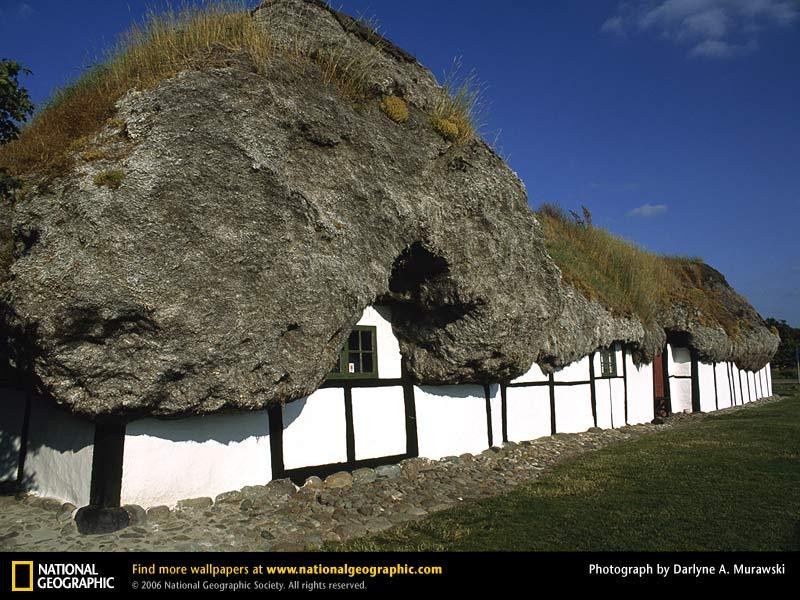 seaweed-roof-735494-sw (Medium)