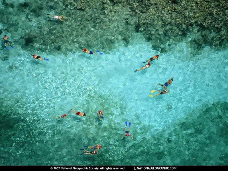 snorkelers-509317-sw (Medium)