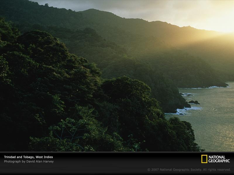 trinidad-tobago-coast-92496-sw (Medium)