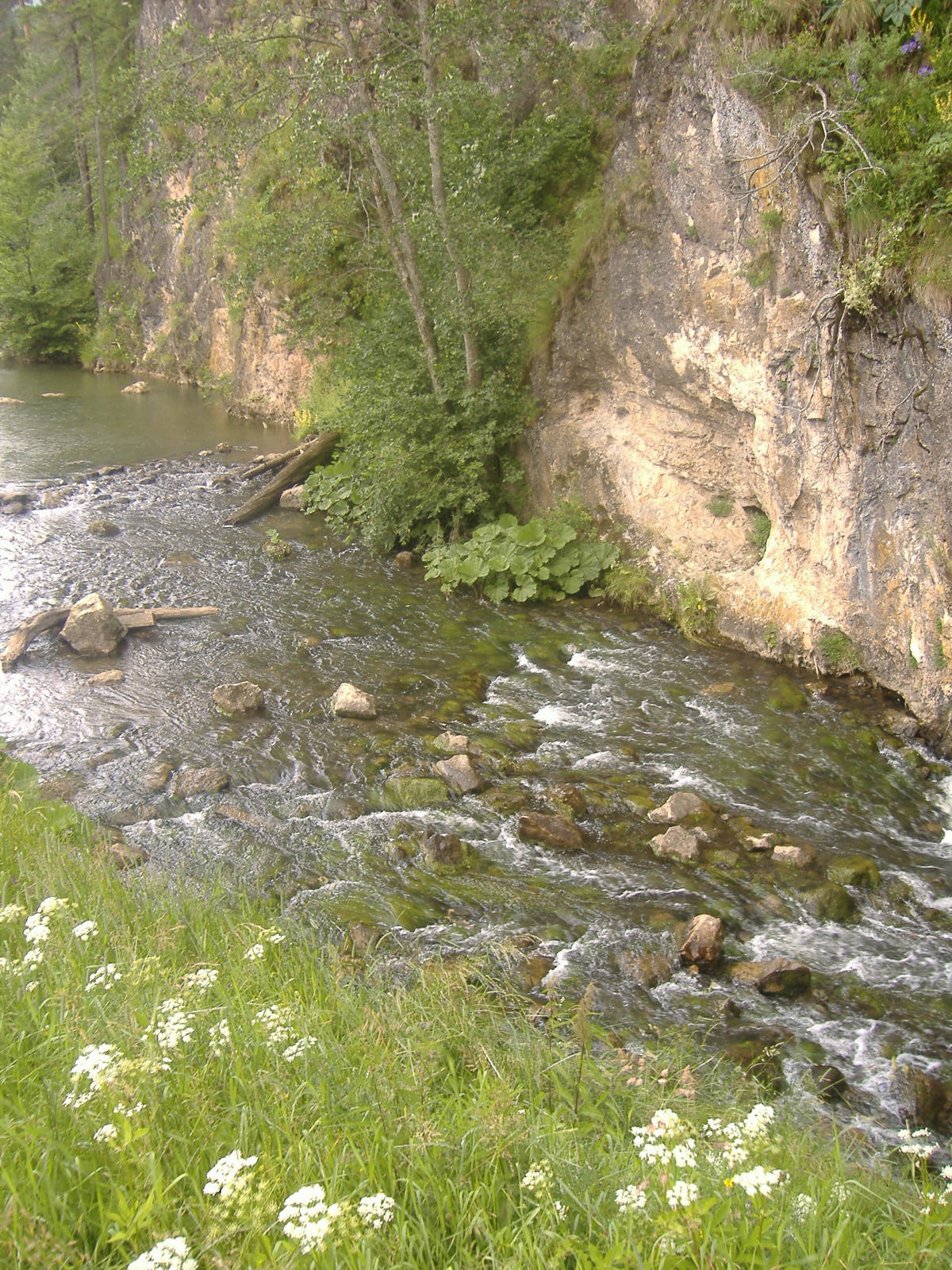 a Gyilkos-tónál