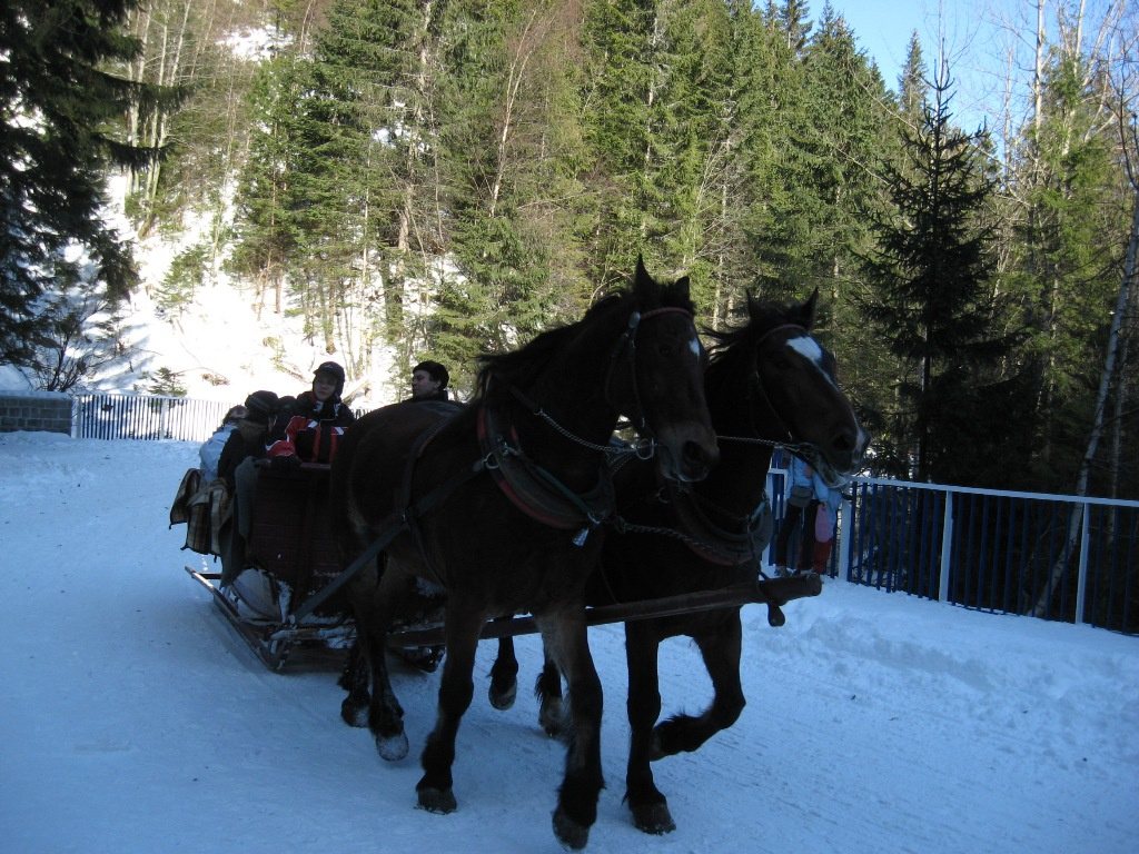 Zakopane Tengerszem 022