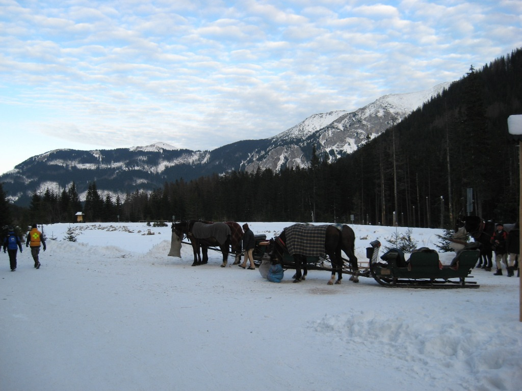 Zakopane Tengerszem 109