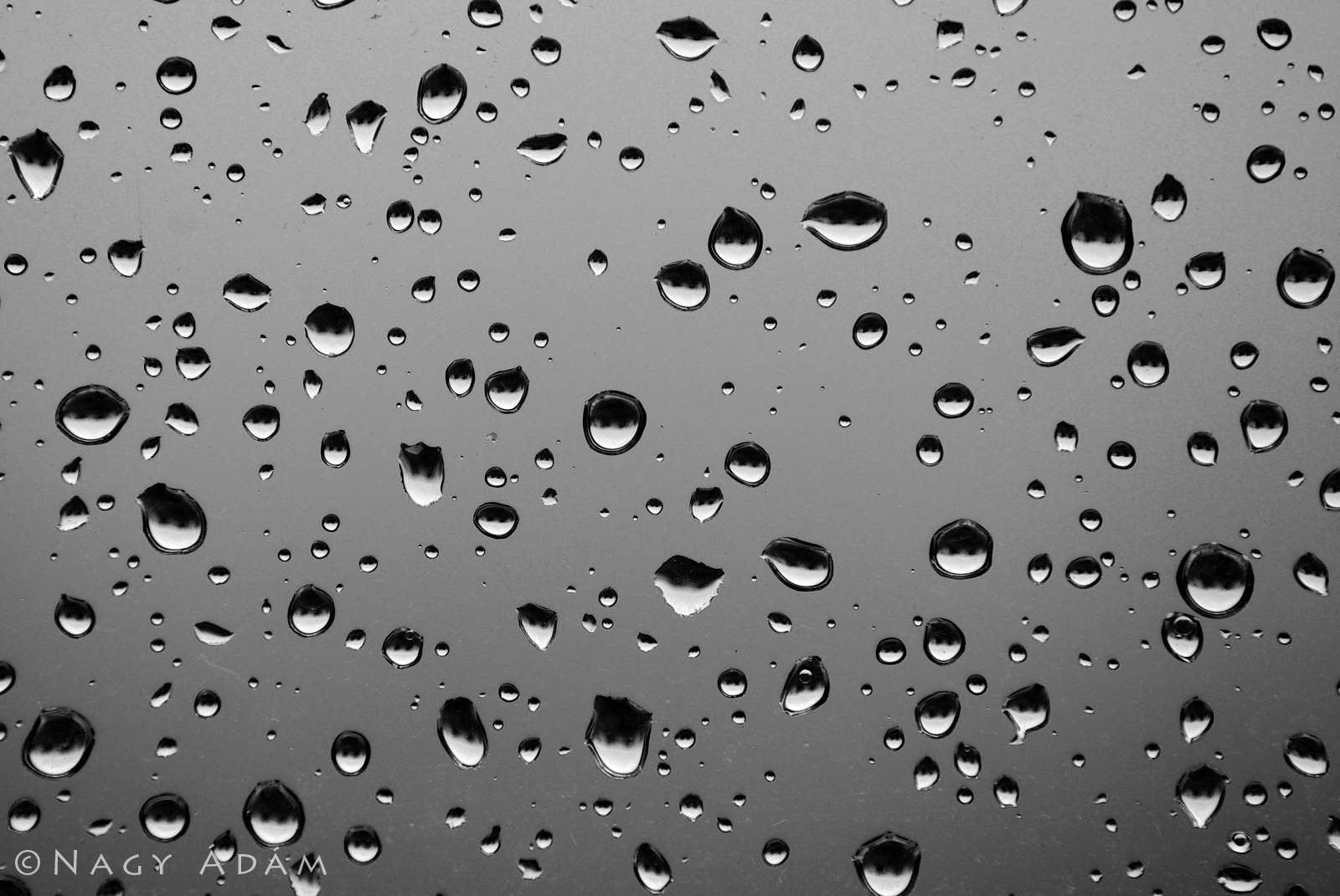 Esős délután, fekete és fehér