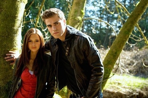 Vampire-Diaries-the-vampire-diaries-6367878-500-332