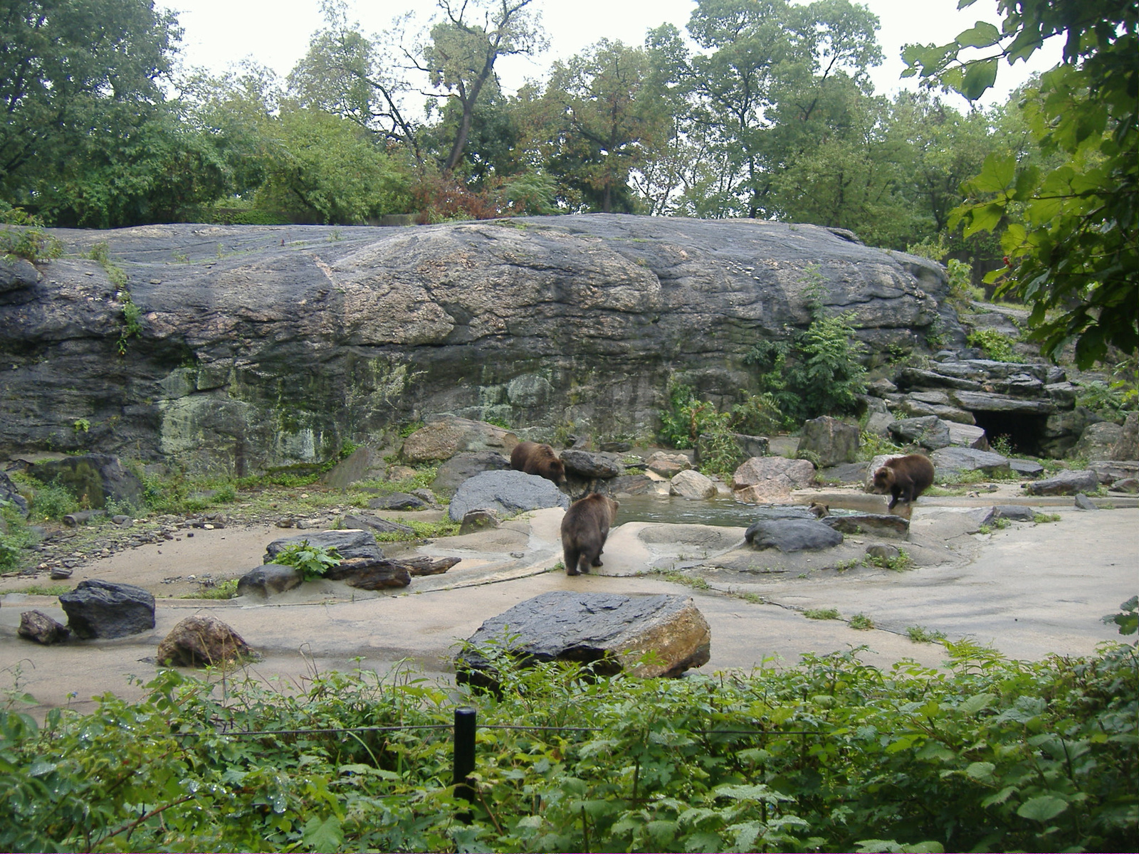 bronx zoo (48)