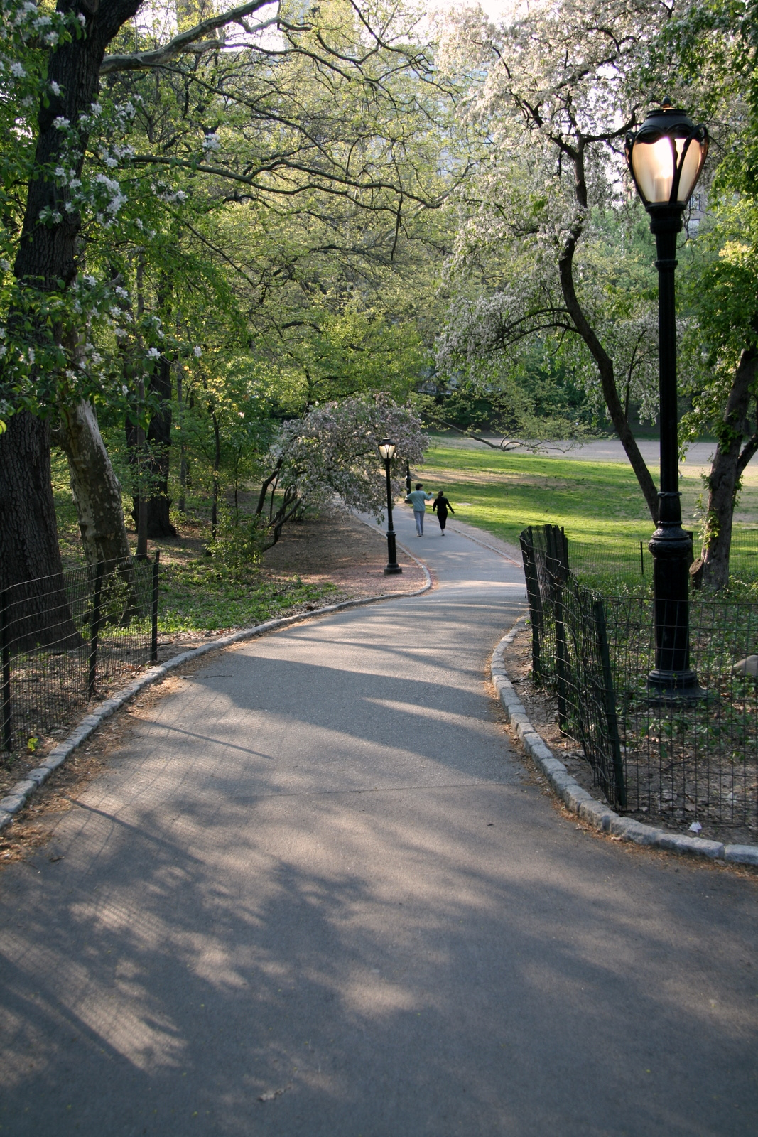 central park