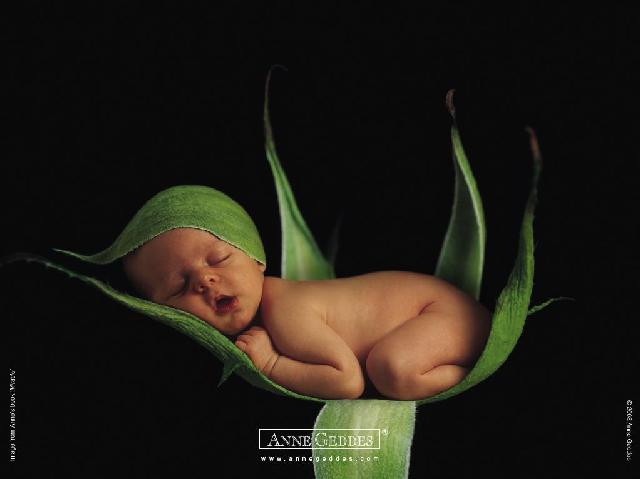 anne geddes