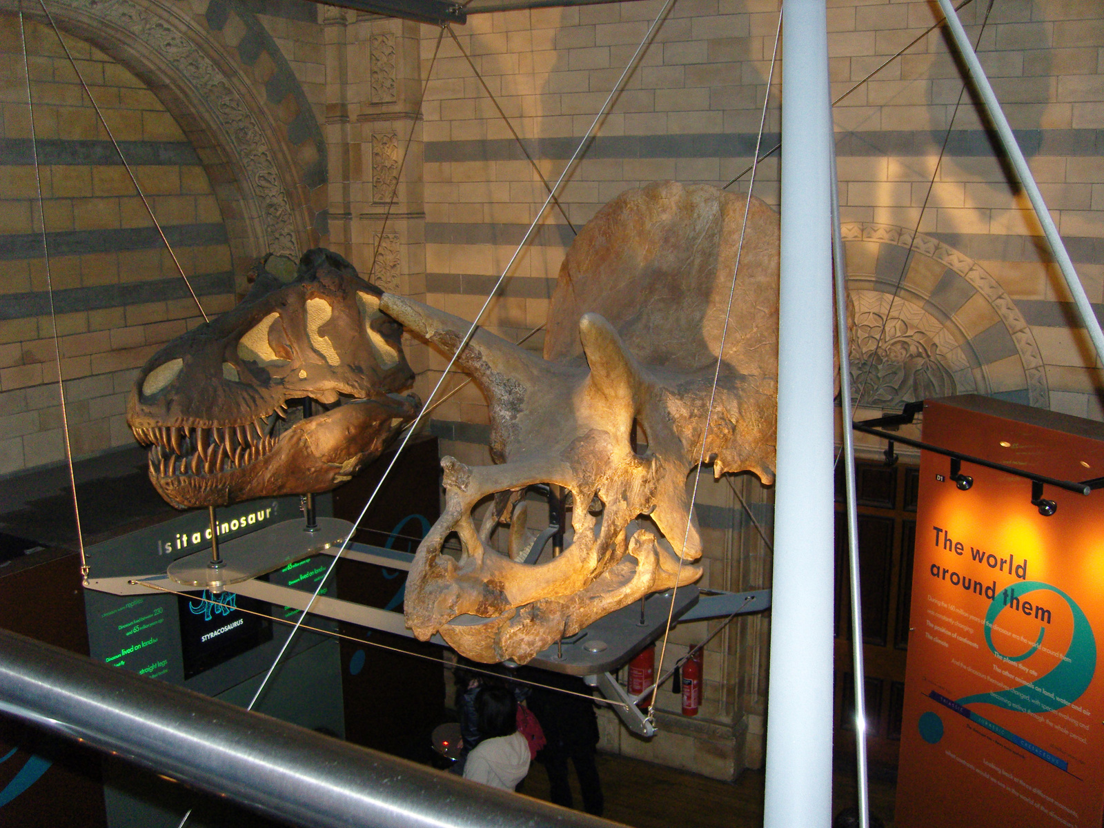 Natural History Museum