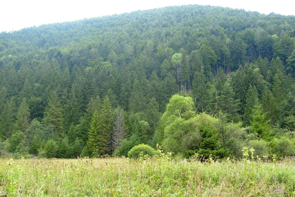 Szlovákia 2010 056