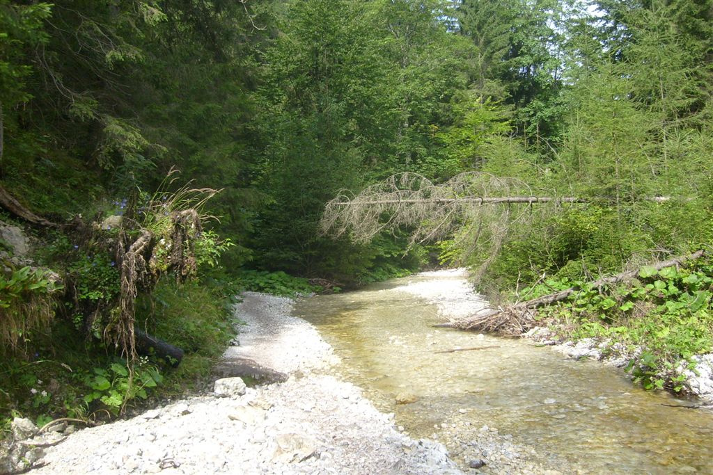 Szlovákia 2010 083