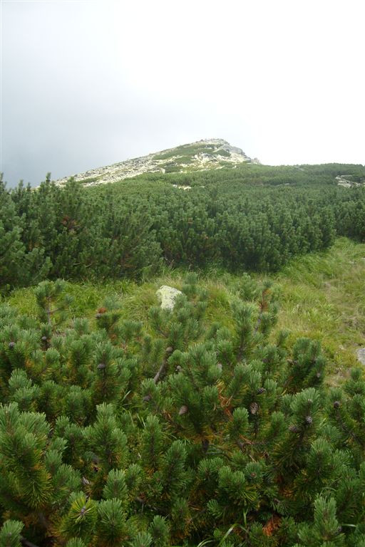 Szlovákia 2010 665