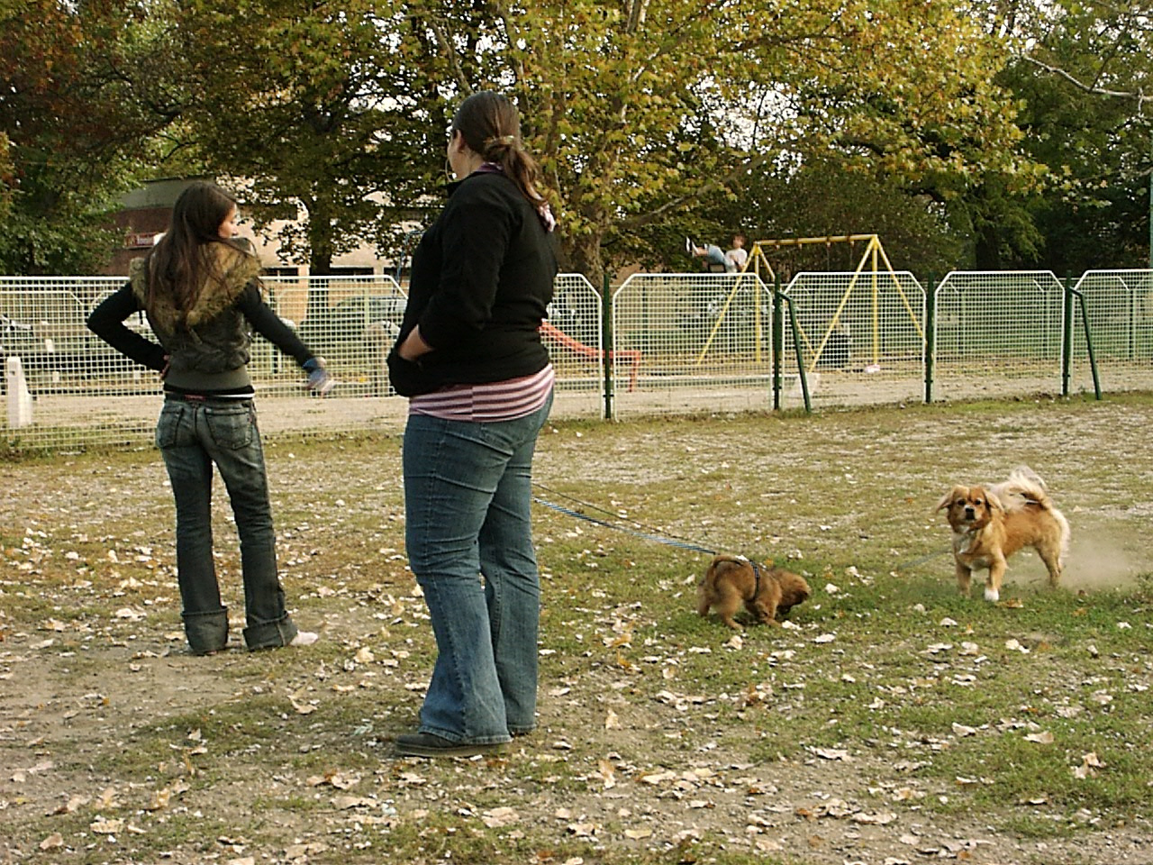 Kutya és gazdája a Béke téren 2007.10.11.21