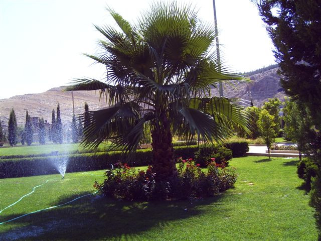 Siráz, a Szádi-mauzóleum kertje 2.