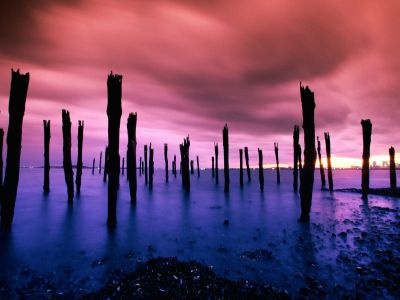 normal Dock Pilings, Boston Harbor, Massachusetts