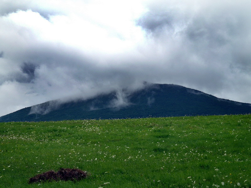 Háromhuta, Kage & Leica