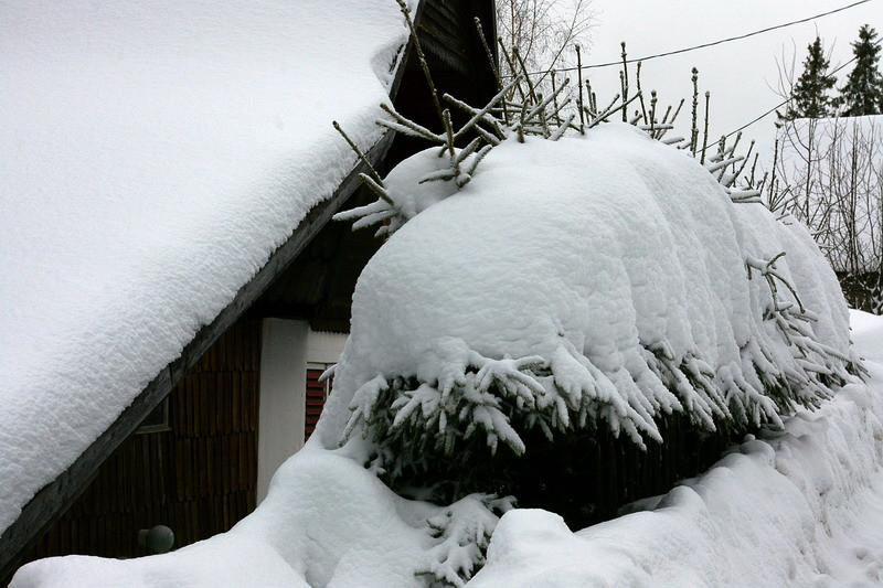 Hargitafürdő, Csíkszereda, Korond 2010. 02. 12-14. LHM turné