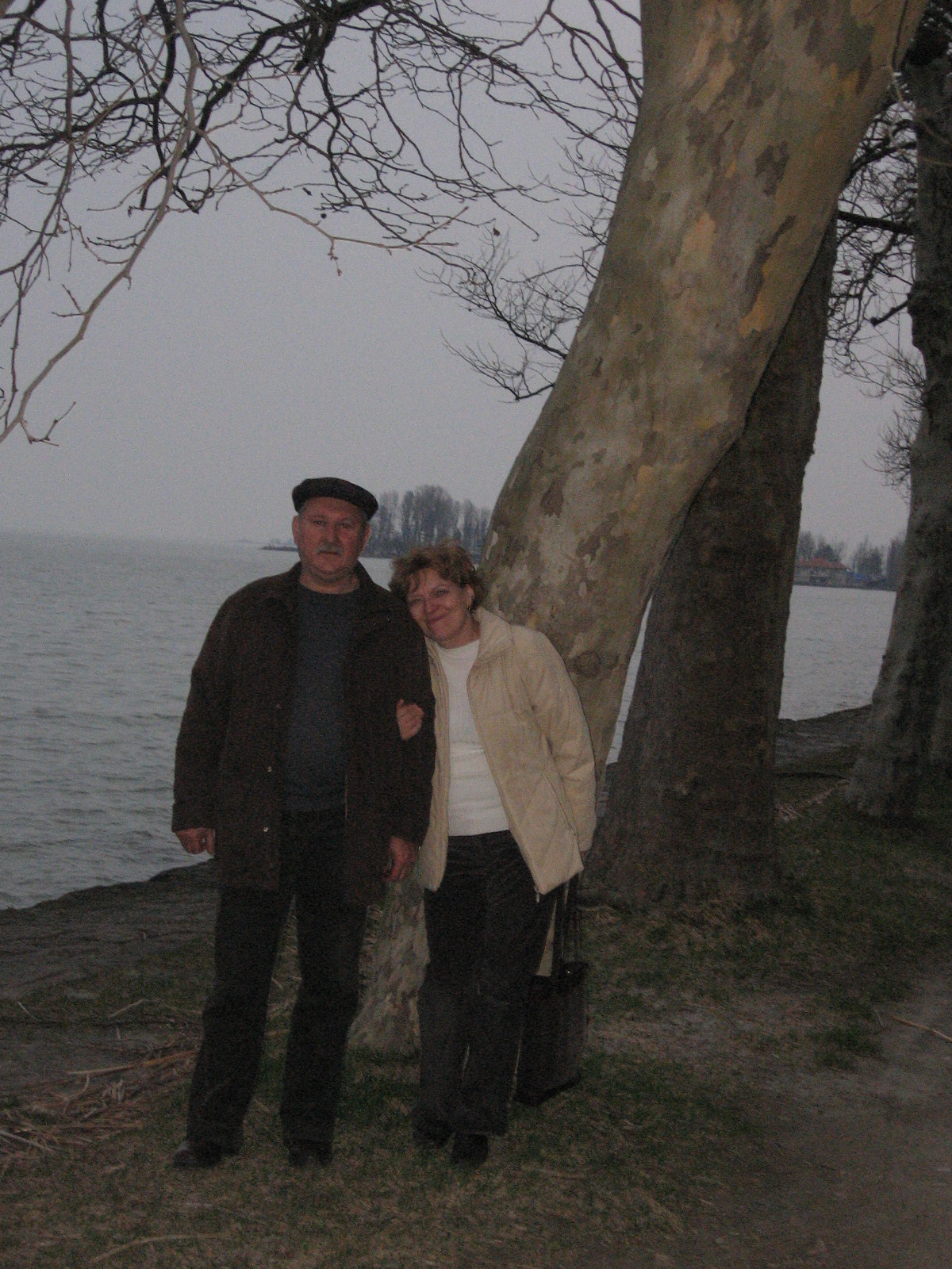 Balatonparton