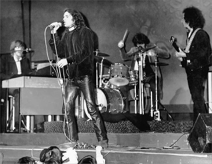 the doors 11