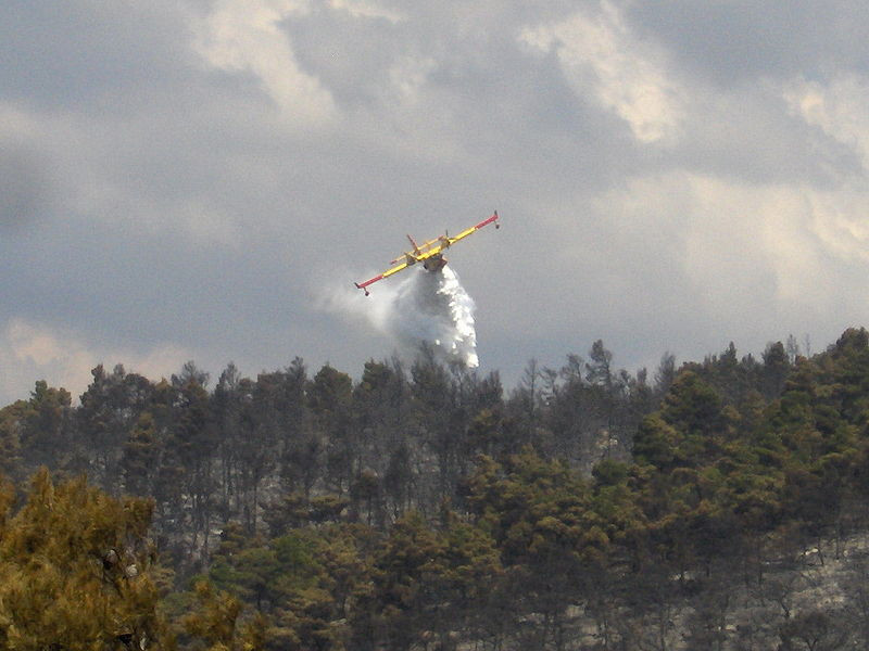 800px-Canadair Parnitha 3