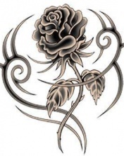 Black Rose