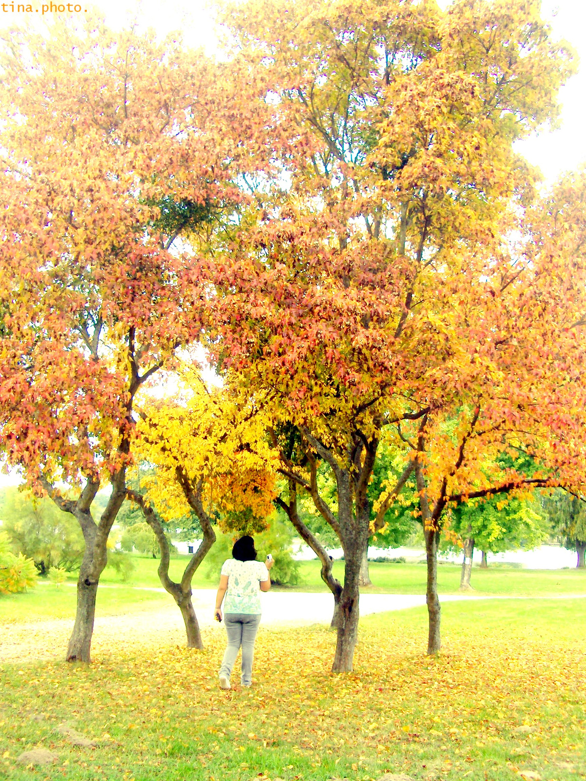 herbst by tina photography